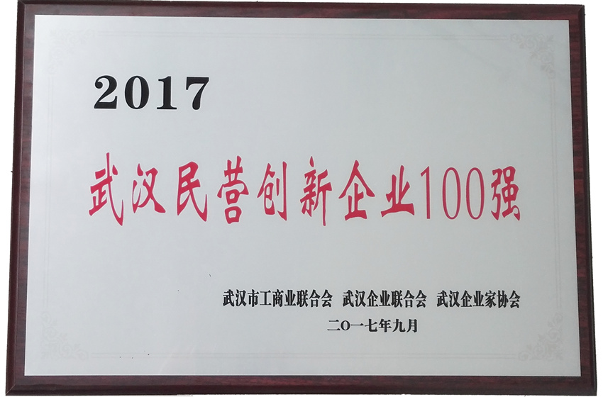 2017武漢民營創新企業100強
